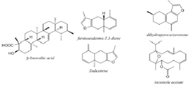 Senyawa kimia dari kemenyan